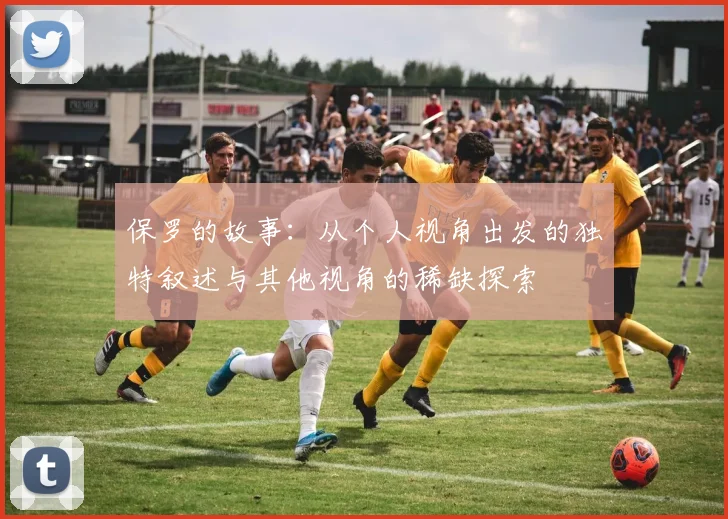 保罗的故事：从个人视角出发的独特叙述与其他视角的稀缺探索