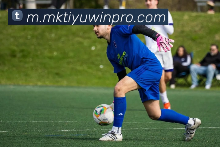 MK体育APP 封面图